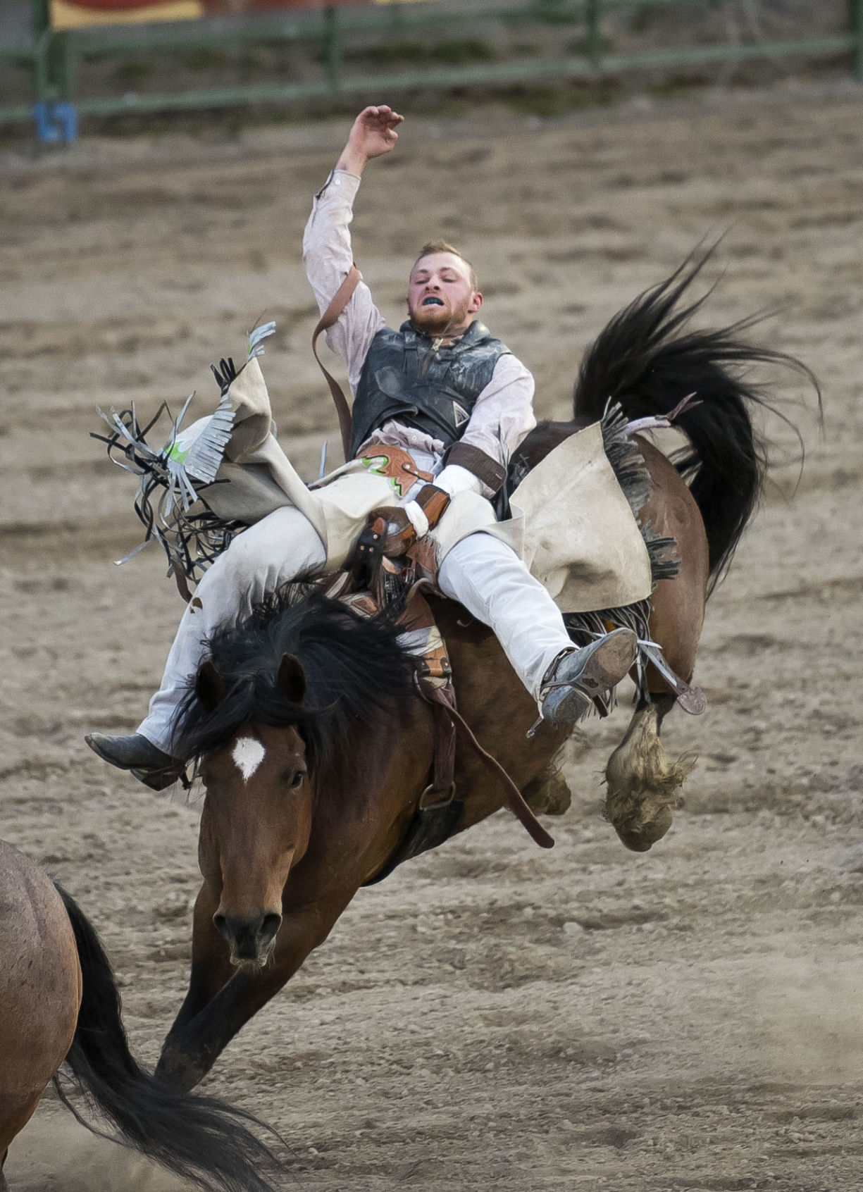 Jackson Hole Rodeo